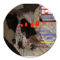 Learning Programming Quiz
