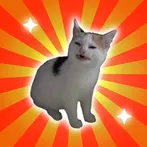 Meme Simulator 88 Angry Cat