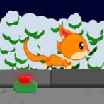 Rush Game: Squirrel run