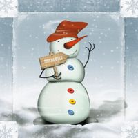 Shoot Chirstmas Ball