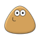 Pou