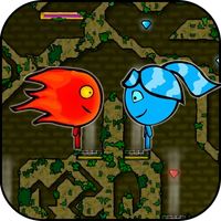 Fire Hero Ice Princess Forest