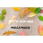 MoleMash