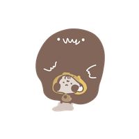 The Little Story of Rangi