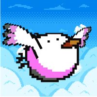 Pocket Bird