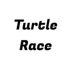 Turtle Race!