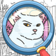 Find Cat: Spot It Out