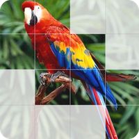Photo Blocks