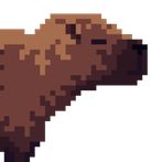 Capybara Run-Jump