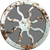 Discordant Harvest