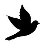 BlackBird