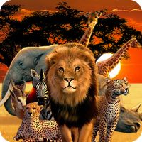Animals Quiz Wild Creatures