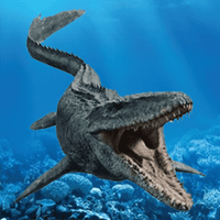Mosasaur 3D