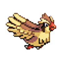 Floppy Pidgeon