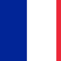 France Flag Puzzle