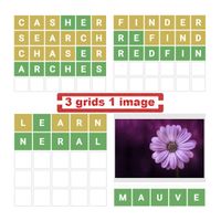 3 grids 1 image