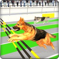 Greyhound 3D Dog Racing Fever