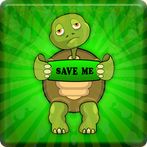 Green Old Turtle Escape
