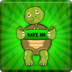 Green Old Turtle Escape