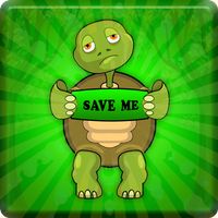 Green Old Turtle Escape