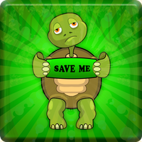 Green Old Turtle Escape