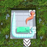 Snake Maze Puzzle