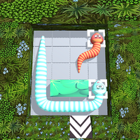 Snake Maze Puzzle