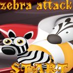 zebra attack