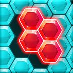 Hexa Block Jungle Puzzle