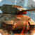 FrozenShard Games