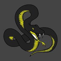 Snake Project
