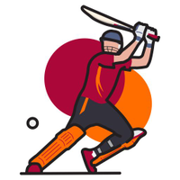 2D Cricket: Play Your Bat