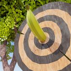 Food Sniper - The relax game