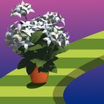 Plant House Run