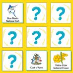 Bahamas National Symbols Memor
