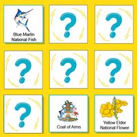 Bahamas National Symbols Memor