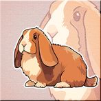 Mini Lop Rabbit Escape