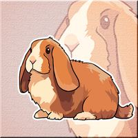 Mini Lop Rabbit Escape