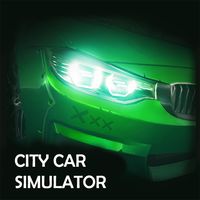 City Car Driving Simulator