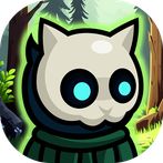 Forest Nights