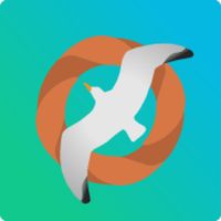 Feed The Seagulls