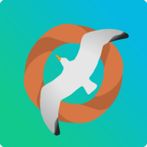 Feed The Seagulls