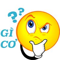 Hỏi Cực Ngu