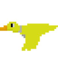 Duck Hunt