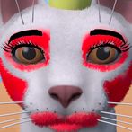 Pets Makeover