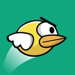 Funny bird