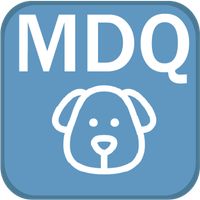 MemoDog Quiz: Все обо всем