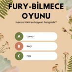 FURY Bilgi Yarışması
