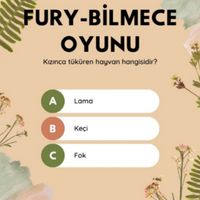 FURY Bilgi Yarışması