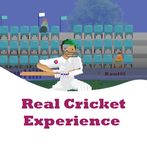 Real Cricket Experience